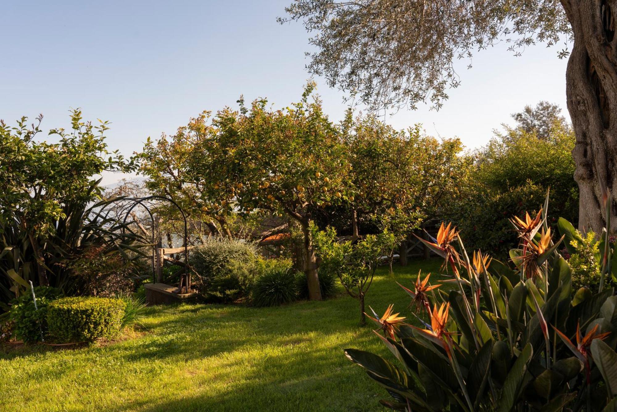Relais Palazzo Del Barone (Adults Only) Hotel Sorrento Exterior photo
